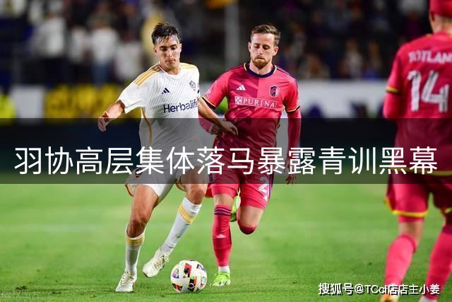 羽协高层集体落马暴露青训黑幕